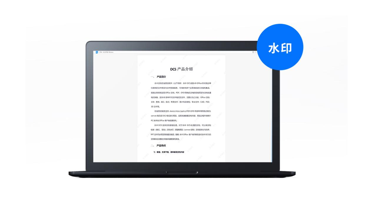 永中DCS安全水印